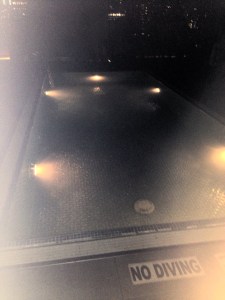 No Diving unless you are a tadpole.