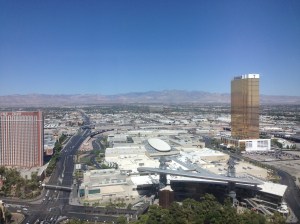 Vegas View