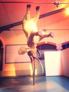 I don't know why this is in a champagne house but maybe it represents how you feel after one too many bubbles.