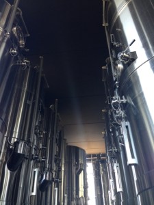 There's a lot to be fermenting and drinking in these.